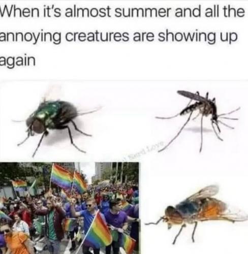 photo_2025-06-06_22-19-30