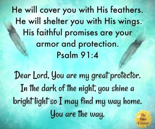 060825 - Shelter with His wings PS 91-4