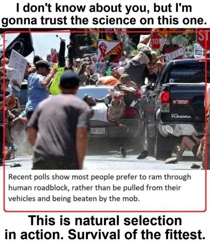 Darwin Awards 2025. Gonna trust the science on this one.960px