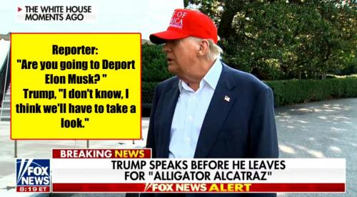 Trump Deporting Elon Perhaps ~A Pattern to The Feud~