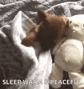 tired-sleepy