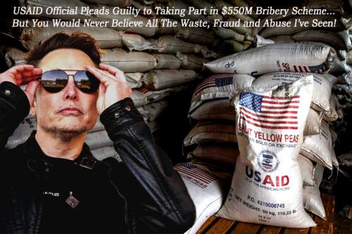 USAID Official Pleads Guilty to Taking Part in $550M Bribery Scheme