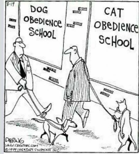 Obedience