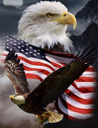 a80f59379c2c5207ae0869f119c4d97f_1024