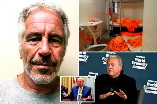Steve Bannon and Jeffery Epstein