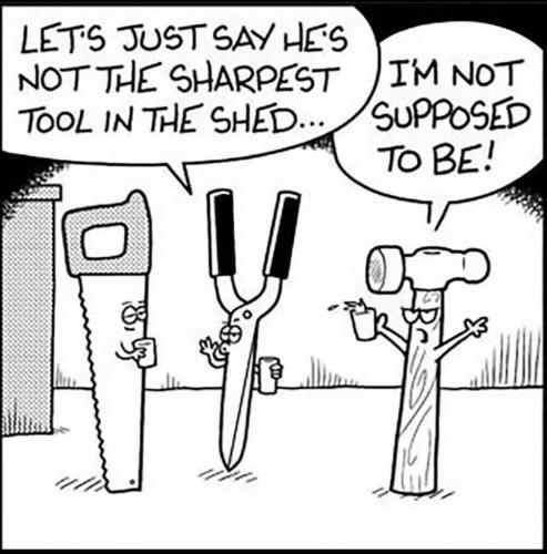 Not the sharpest