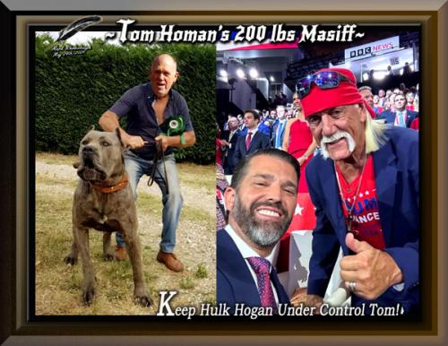 Tom Homan's 200 LBS Masiff Hulk Hogan ~660 Pixels~