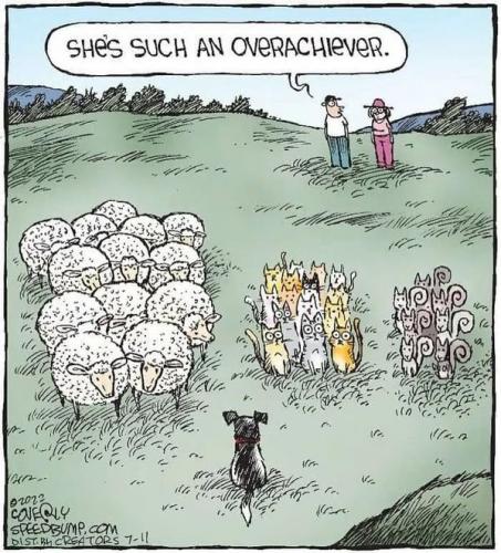 Overachiver