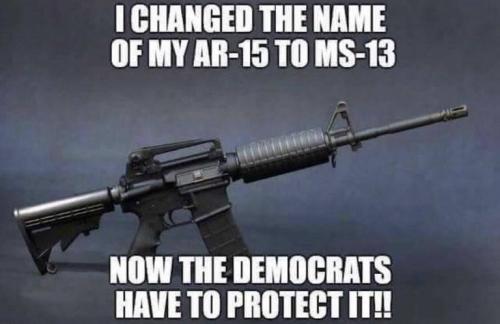 Democrats - Named my AR15 the MS13