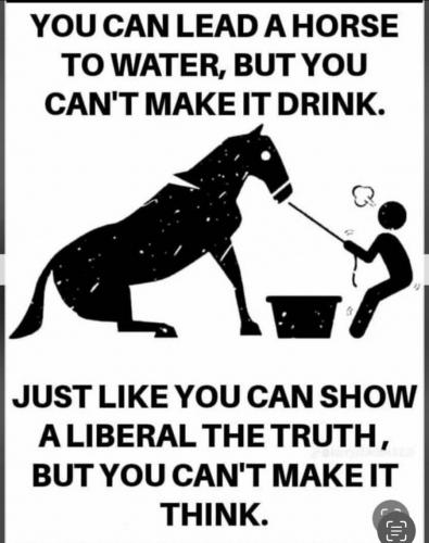 HORSE TO WATER   TS