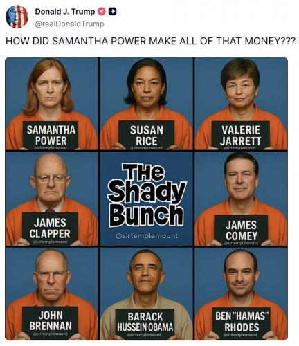 Shady bunch