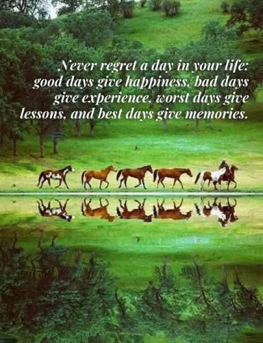 Good days,worst days, best days