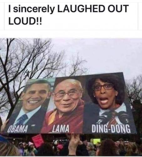 Obama - Lama - DingDong