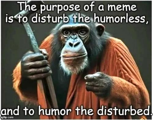 070325 - Purpose of memes