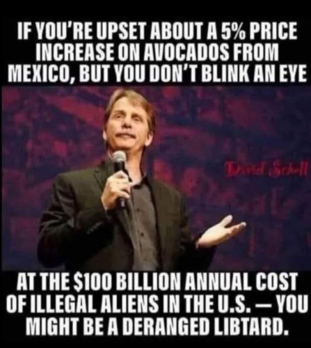 Libtard