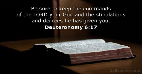 deuteronomy-6-17-3