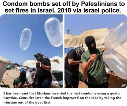 Condom Trivia.768px