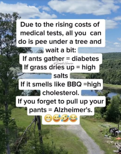 Ants like Diabetics