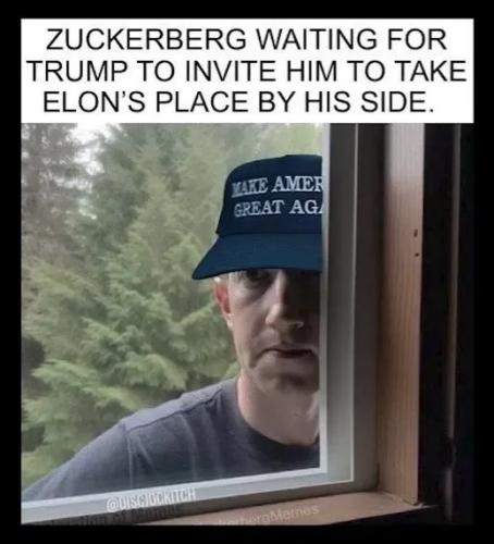 1000111631