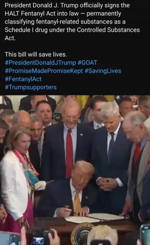 1000001206