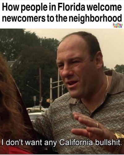 1000018591