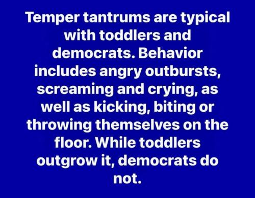 DEMS DO NOT   TS