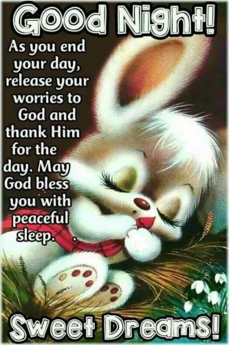 Bunny good night 11