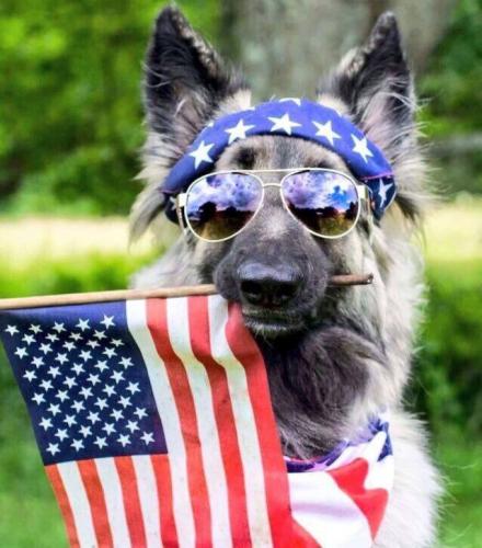 photo_2025-07-04_19-44-19