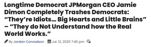 Dimon on idiot dems