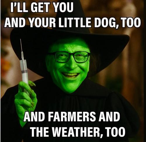 photo_2025-07-05_14-38-33