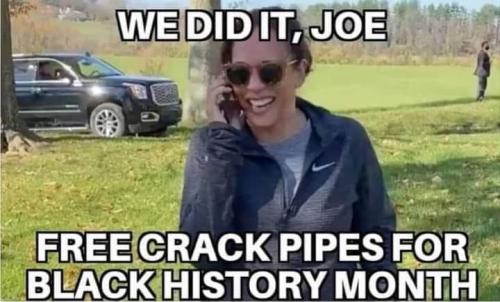 joe & kamala did it