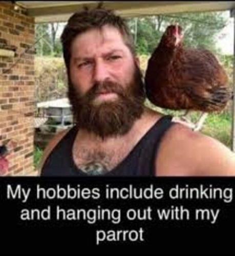 parrot
