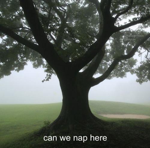 So  inviting