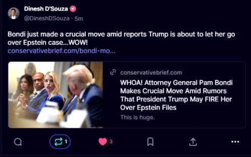 Pam Bondi's Blowing It