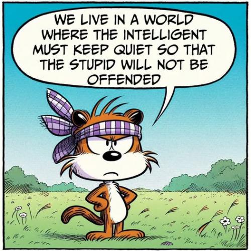 quit no more