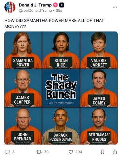 SHADY BUNCH 7