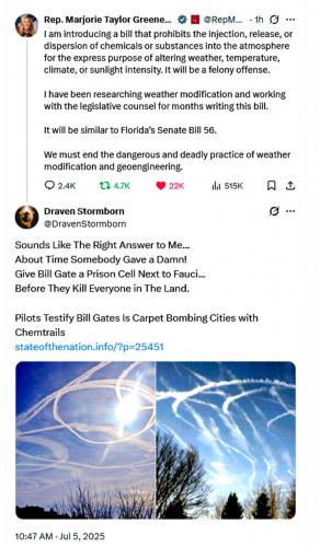 Marjorie Taylor Green ~Ending The Chemtrail Scheme~