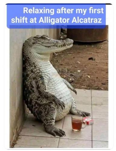 Alligator Alcatraz 1
