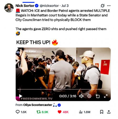 ICE and Border Patrol Arrest MULTIPLE Illegals in Manhattan Court