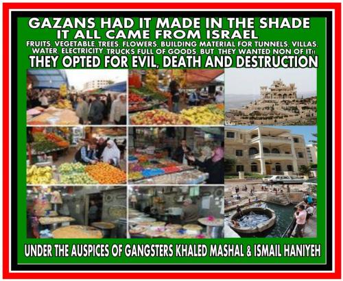 484798123_2175602012857972_6280372565276303745_n