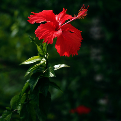 090f31cbe0682a87