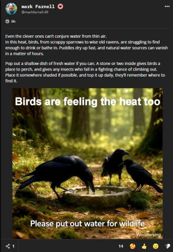 Raven's Feel The Heat