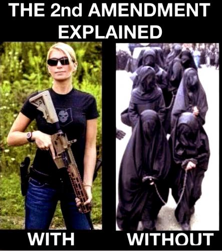 2nd Amendment ~With and Without~