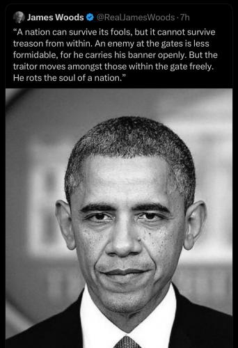 TREASON OBAMA 2