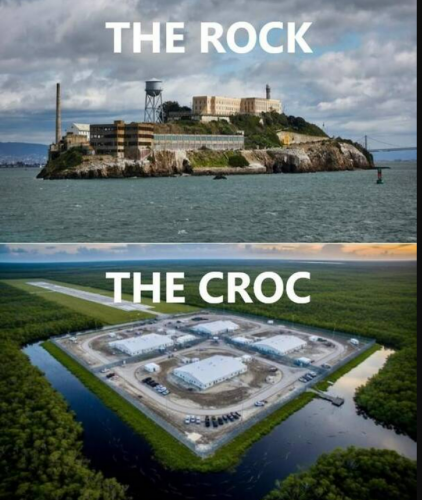 the croc