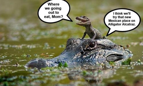 Where we going out to eat mom.768px