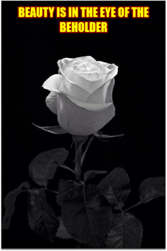 a6599fbc-8f07-4976-bfbe-d73c1291ab43