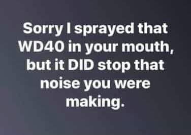 WD40 - Stopped that noise you were making