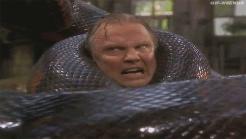 Alligator Alcatraz... Python Prison 10