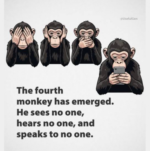 Monkey See Monkey Do